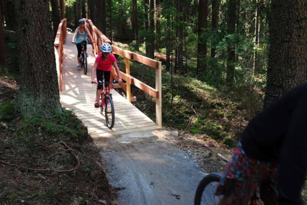 Apartman S Terasou A Vyhledem Na Jezero Lipno Kovářov Kültér fotó